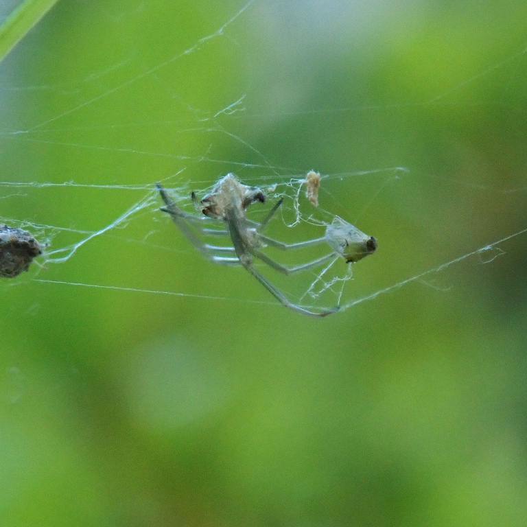 �W�����E�O��