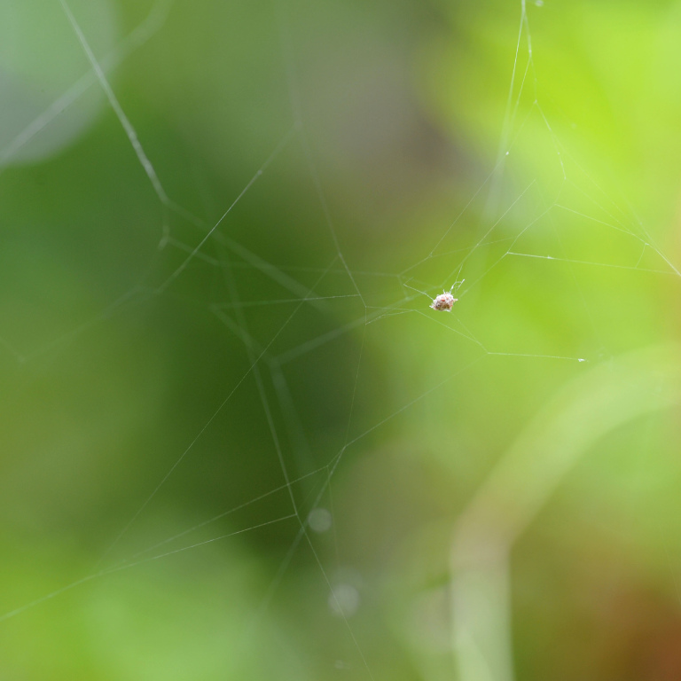 �W�����E�O��