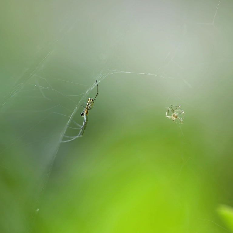 �W�����E�O��