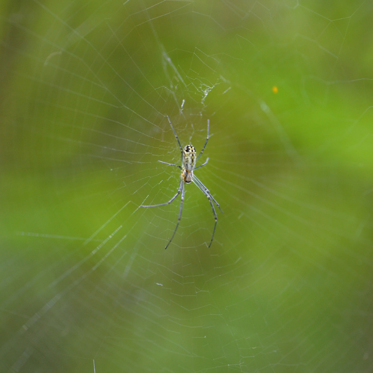 �W�����E�O��