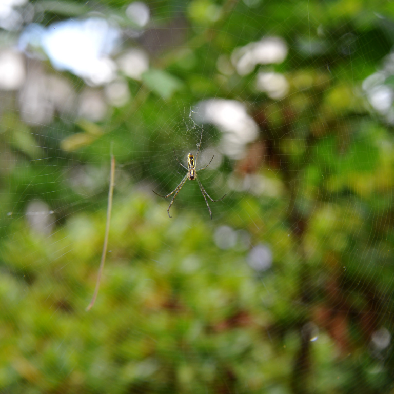 �W�����E�O��