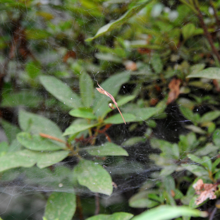 �q���O��