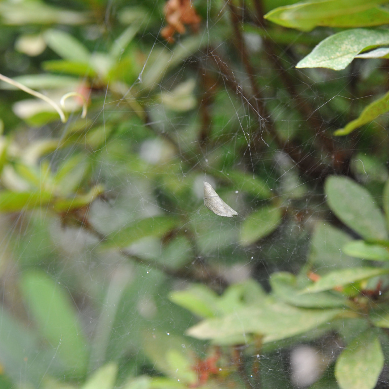 �q���O��