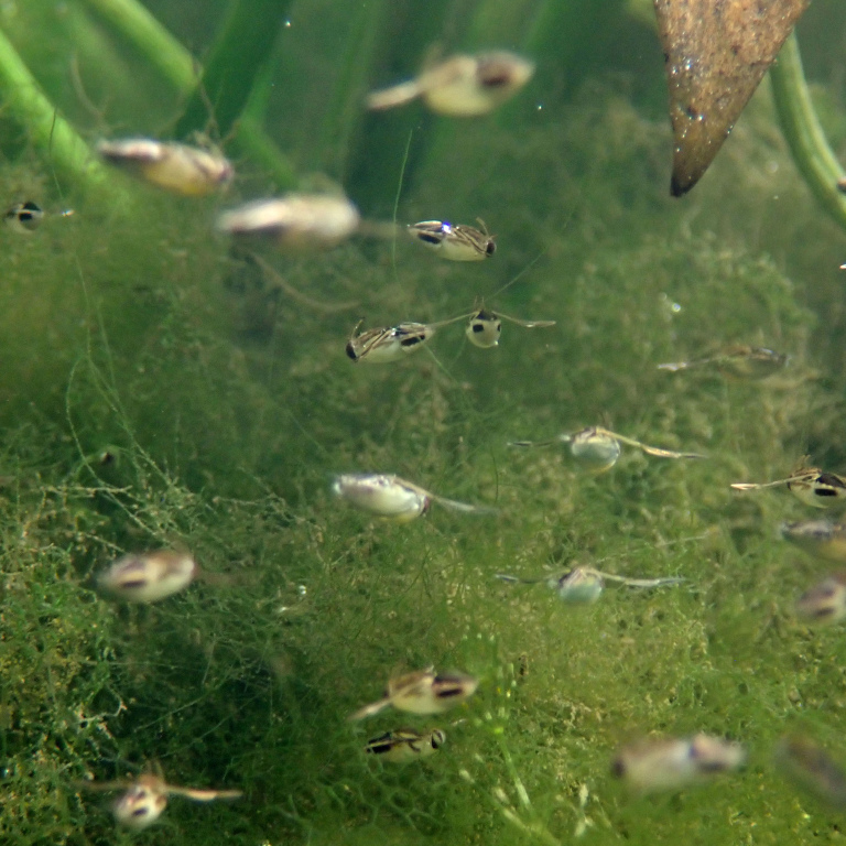 �}�c�����V