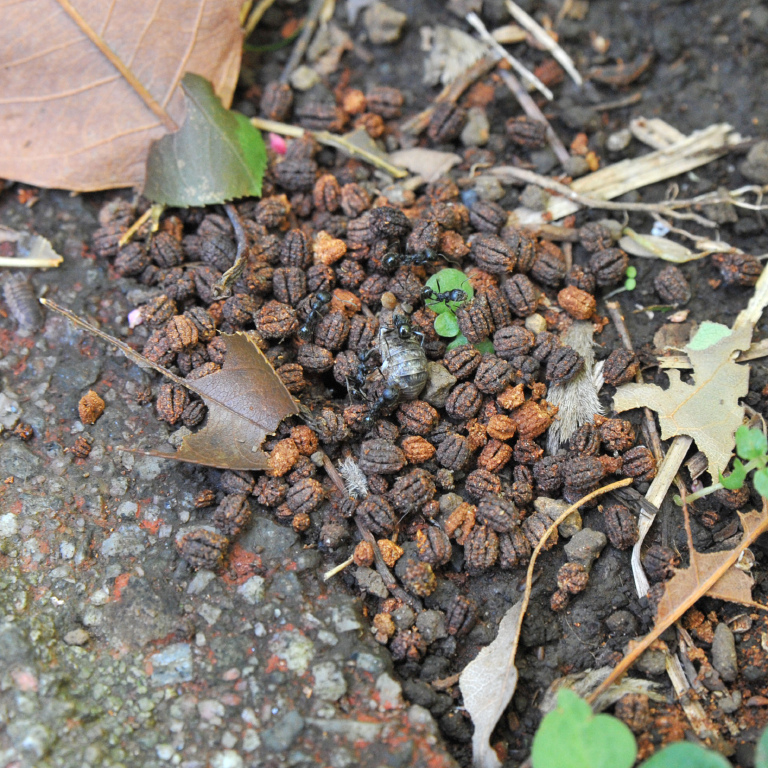 �N���i�K�A��