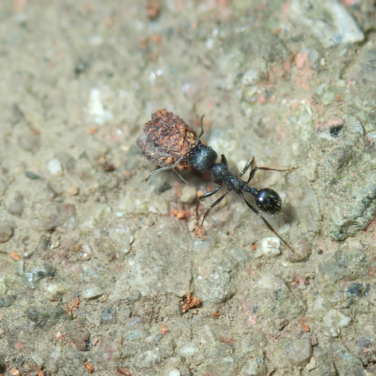 �N���i�K�A��