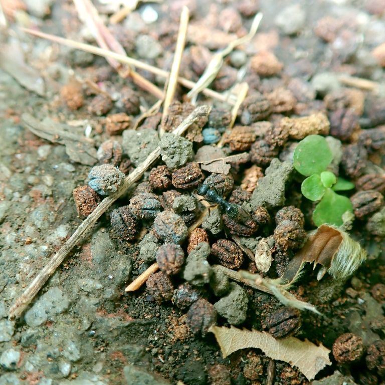 �N���i�K�A��