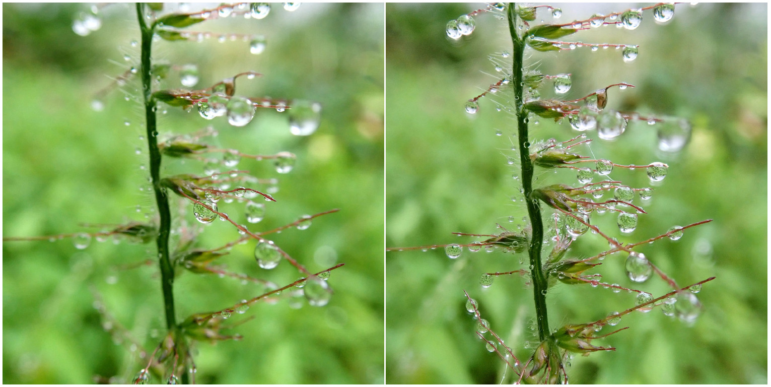 �`�a�~�U�T