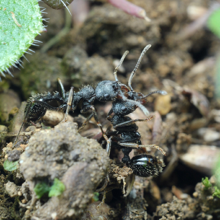 �N���i�K�A��