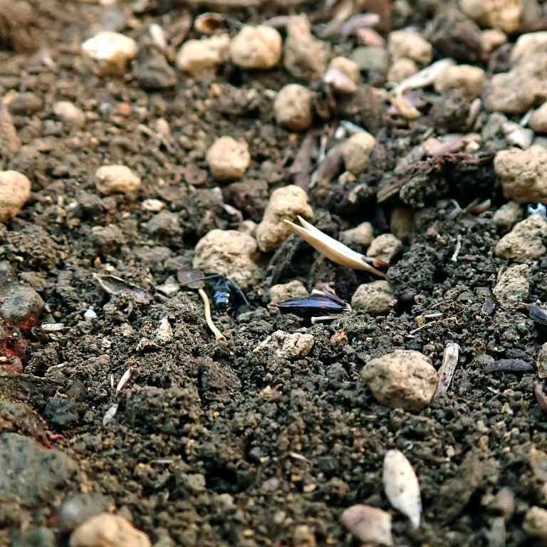 �N���i�K�A��