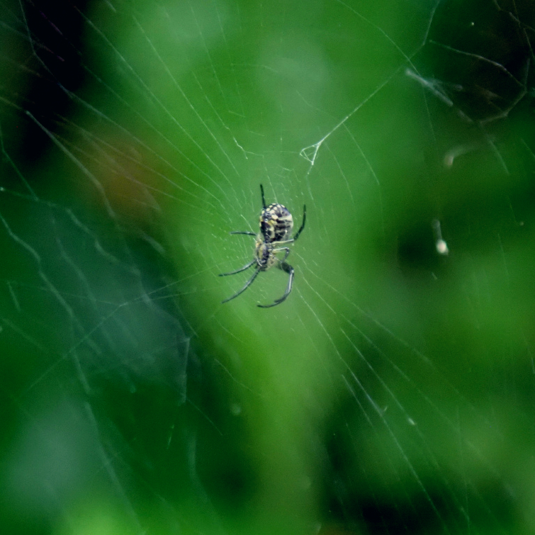 �W�����E�O��