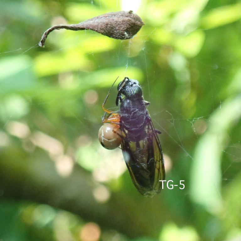 �q���O��