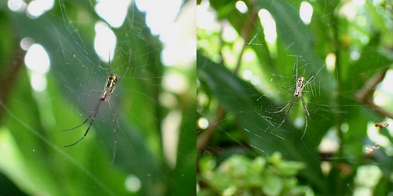 �q���O��