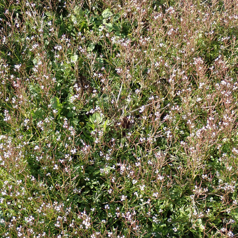 �A�L�m�^�l�c�P�o�i