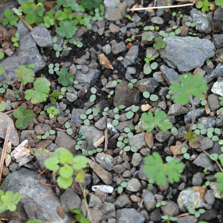 �A�J�}���}