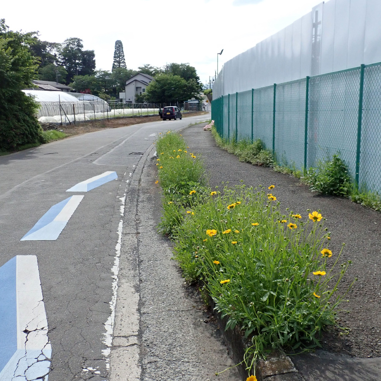 �I�I�L���P�C�M�N