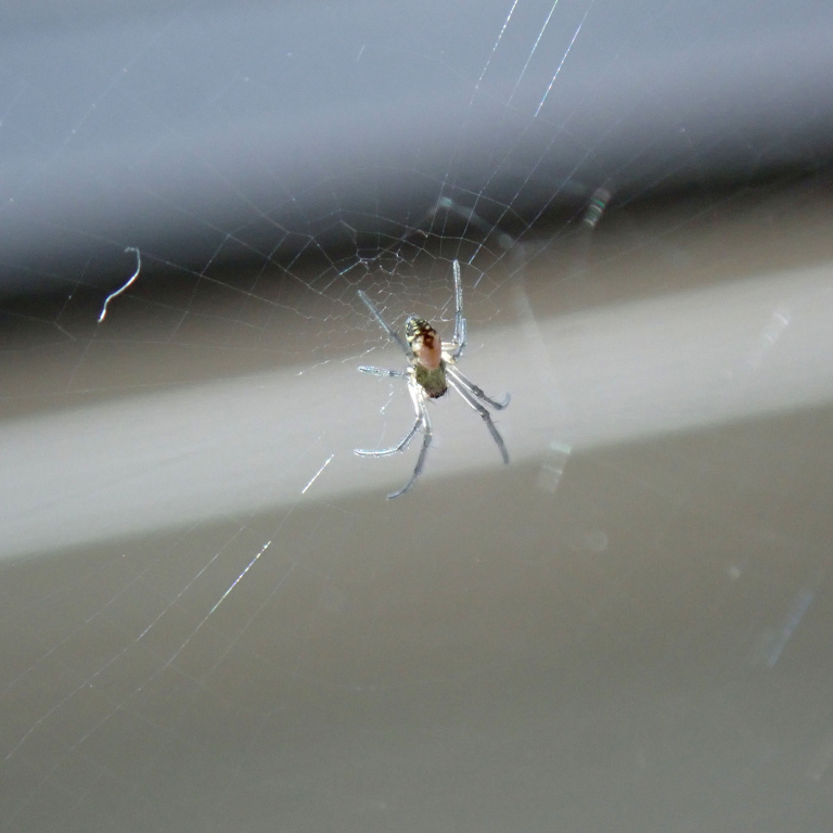 �W�����E�O��