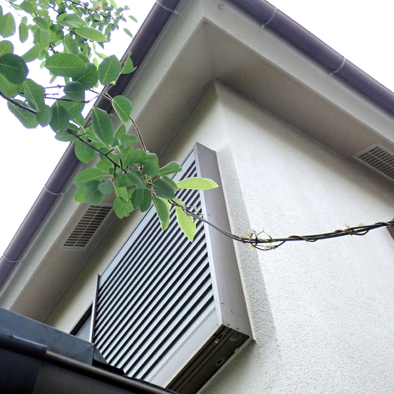 ���}�m�C��