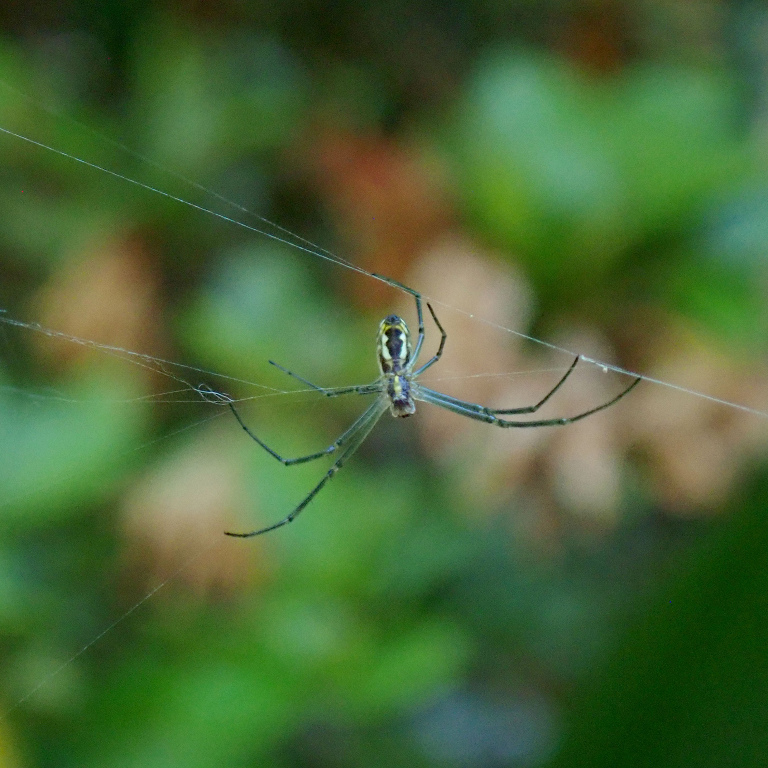 �W�����E�O��