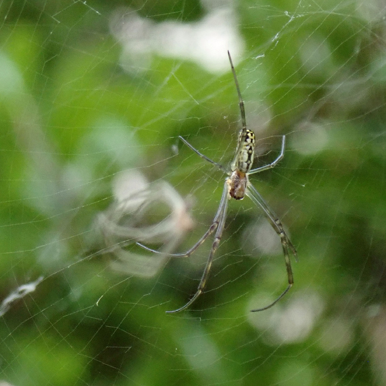 �W�����E�O���E��k