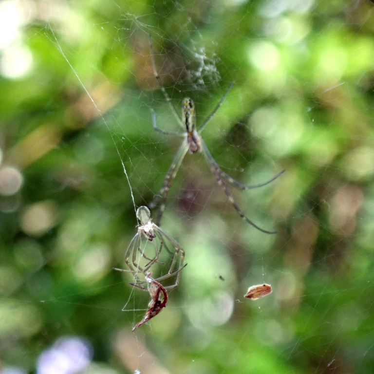 �W�����E�O���E��k