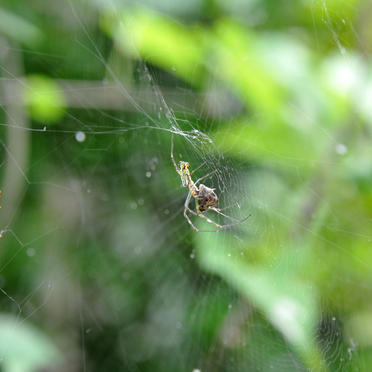 �W�����E�O��