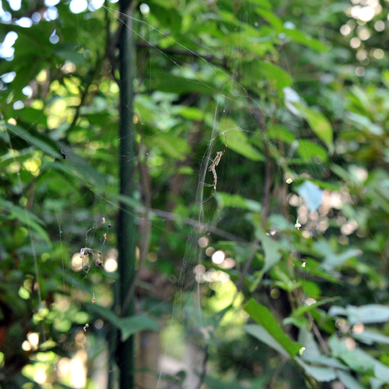 �W�����E�O��