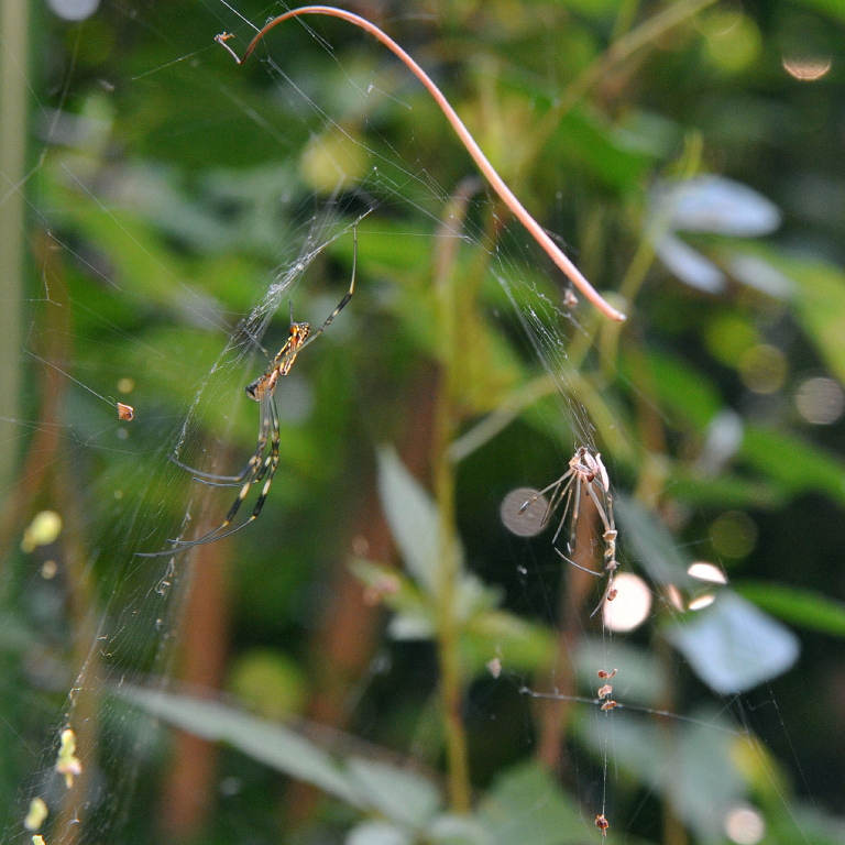 �W�����E�O��