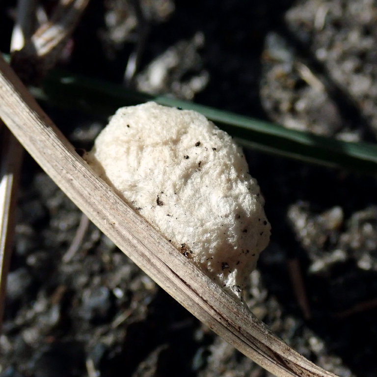 �N���i�K�A��