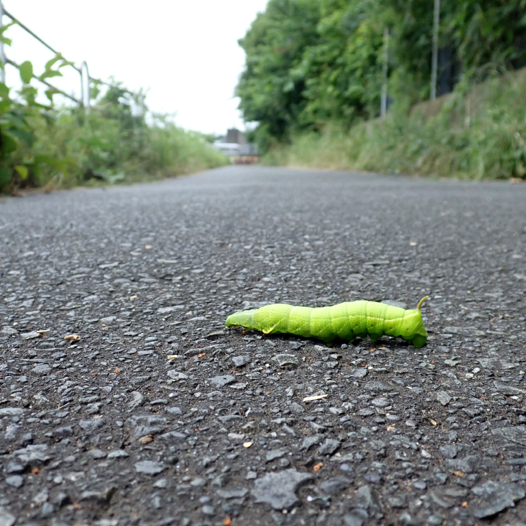 �u�h�E�X�Y��