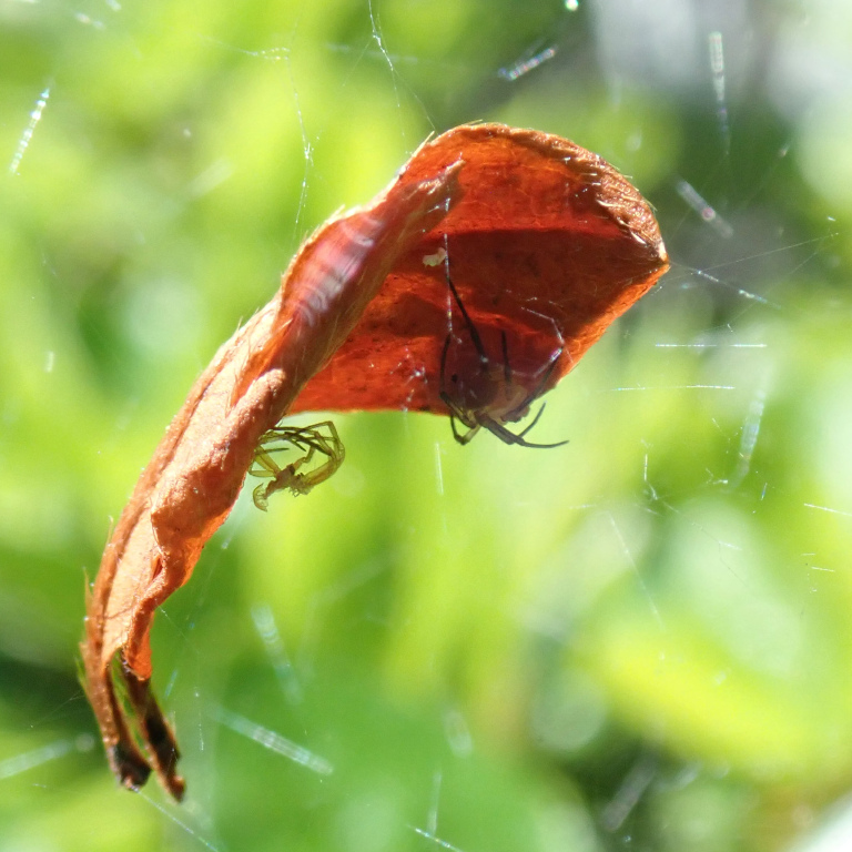 �q���O��