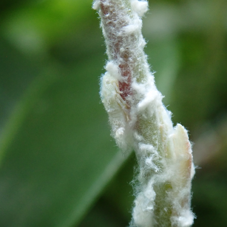 �A�I�o�n�S����