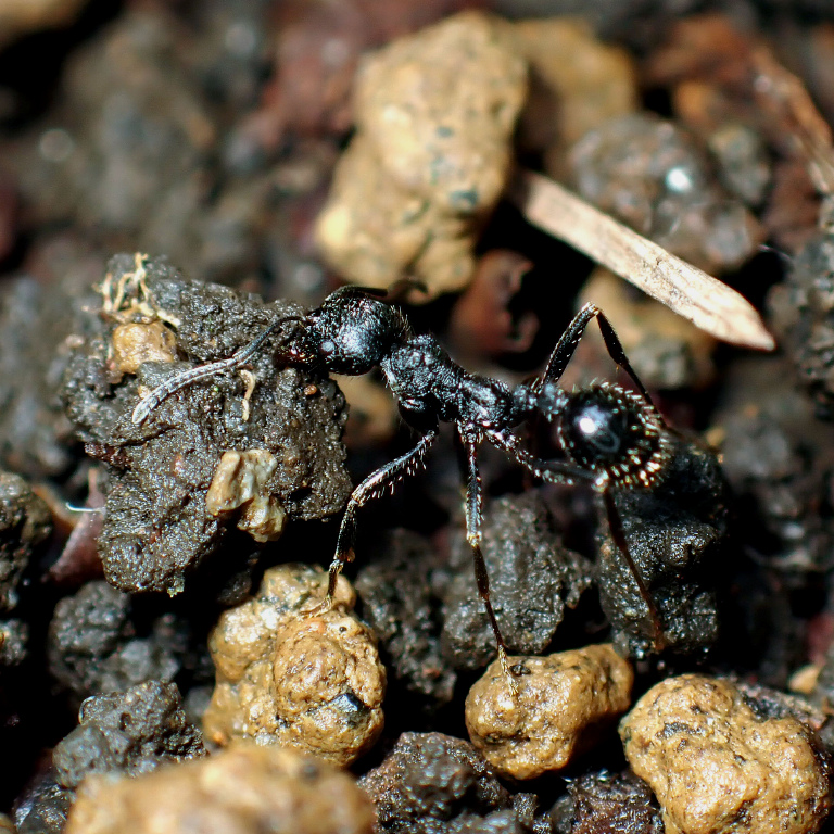 �N���i�K�A��